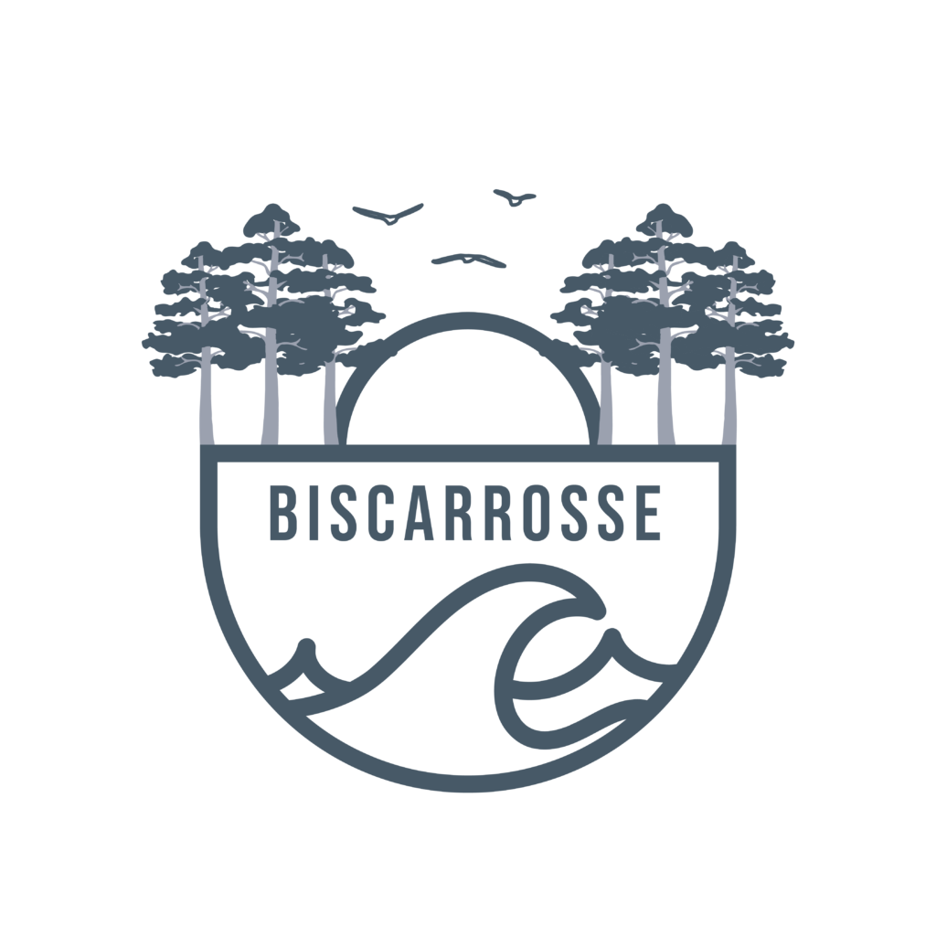 Illustration de Biscarrosse