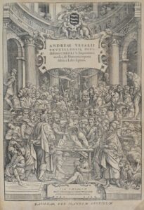 De Humani corporis fabrica Libri septem. Bâle, Johann Oporinus, 1555. In-folio (420 x 274 mm) de [5] ff. dont le titre frontispice gravé, 824 pp., [48] pp. (errata, index et colophons). Veau havane, dos à nerfs orné (reliure du 18e siècle).