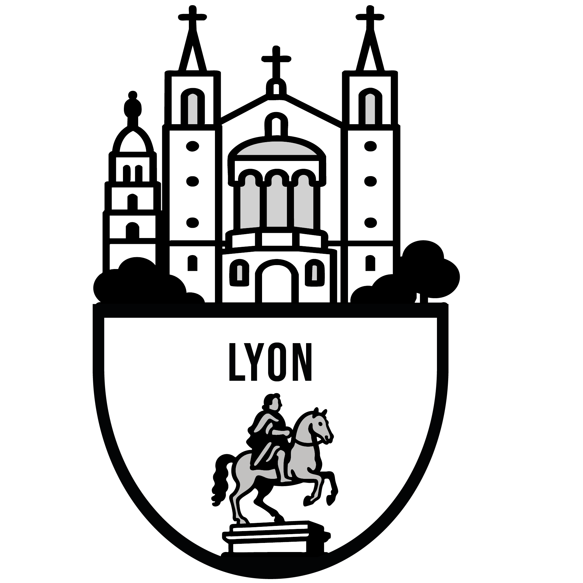illustration expertise et estimation à "Lyon" avec Fabien Ronaldo