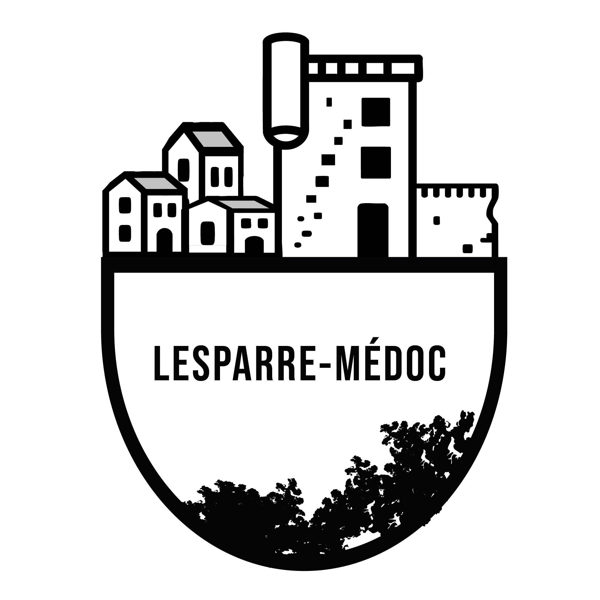 illustration expertise et estimation à Lesparre-Médoc avec Fabien Ronaldo