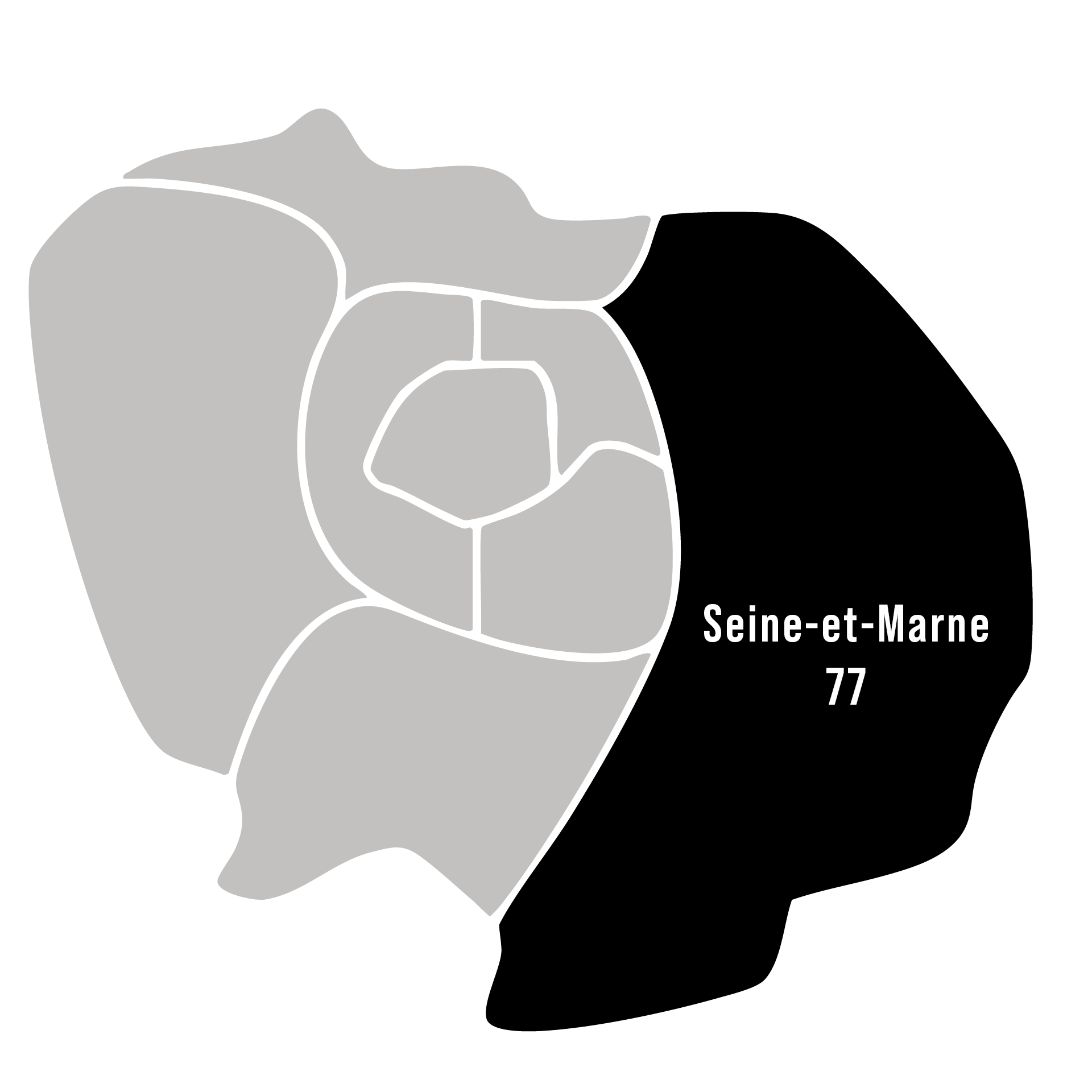 illustration expertise et estimation du departement de la Seine-et-Marne avec Fabien Ronaldo
