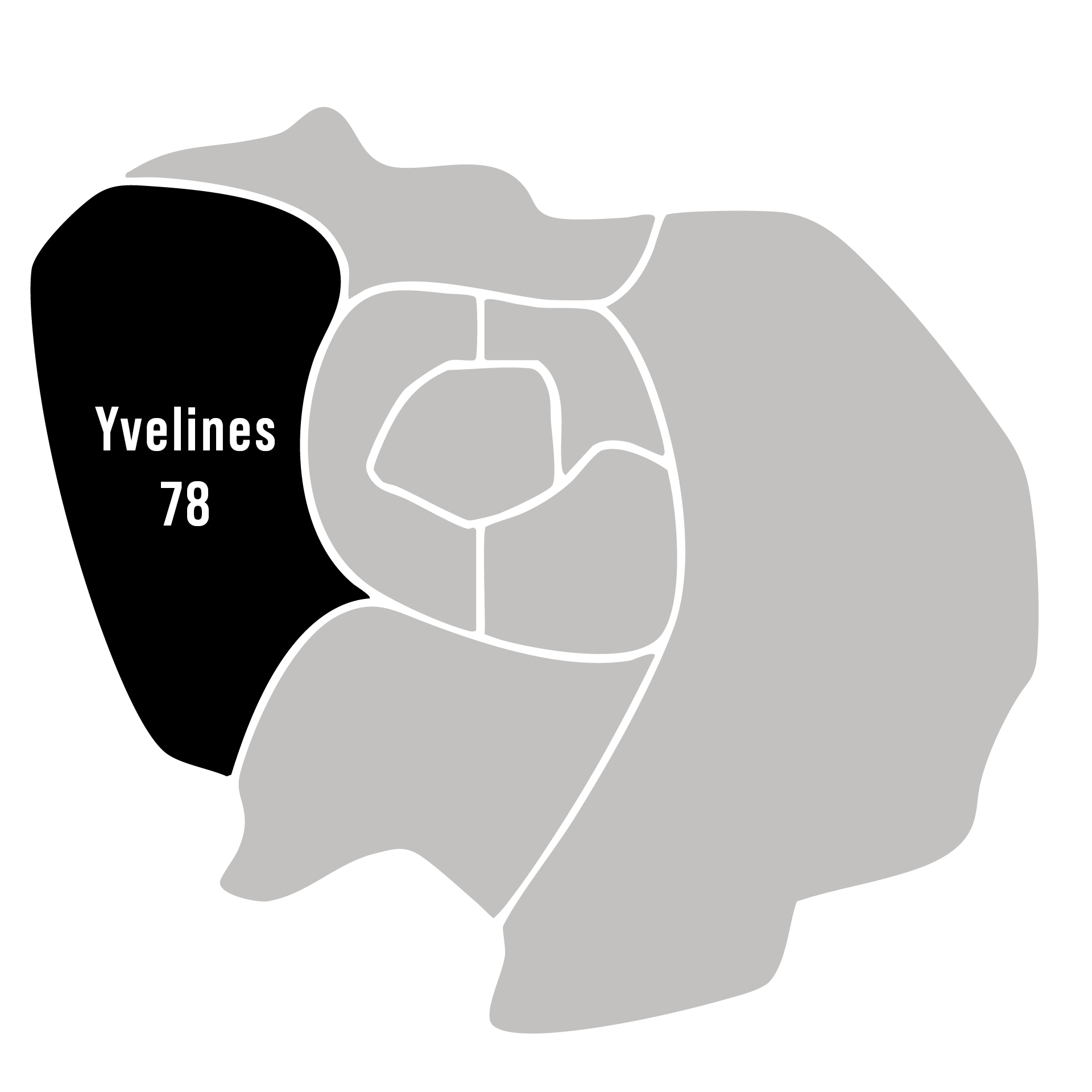 illustration expertise et estimation du departement en Yvelines avec Fabien Ronaldo