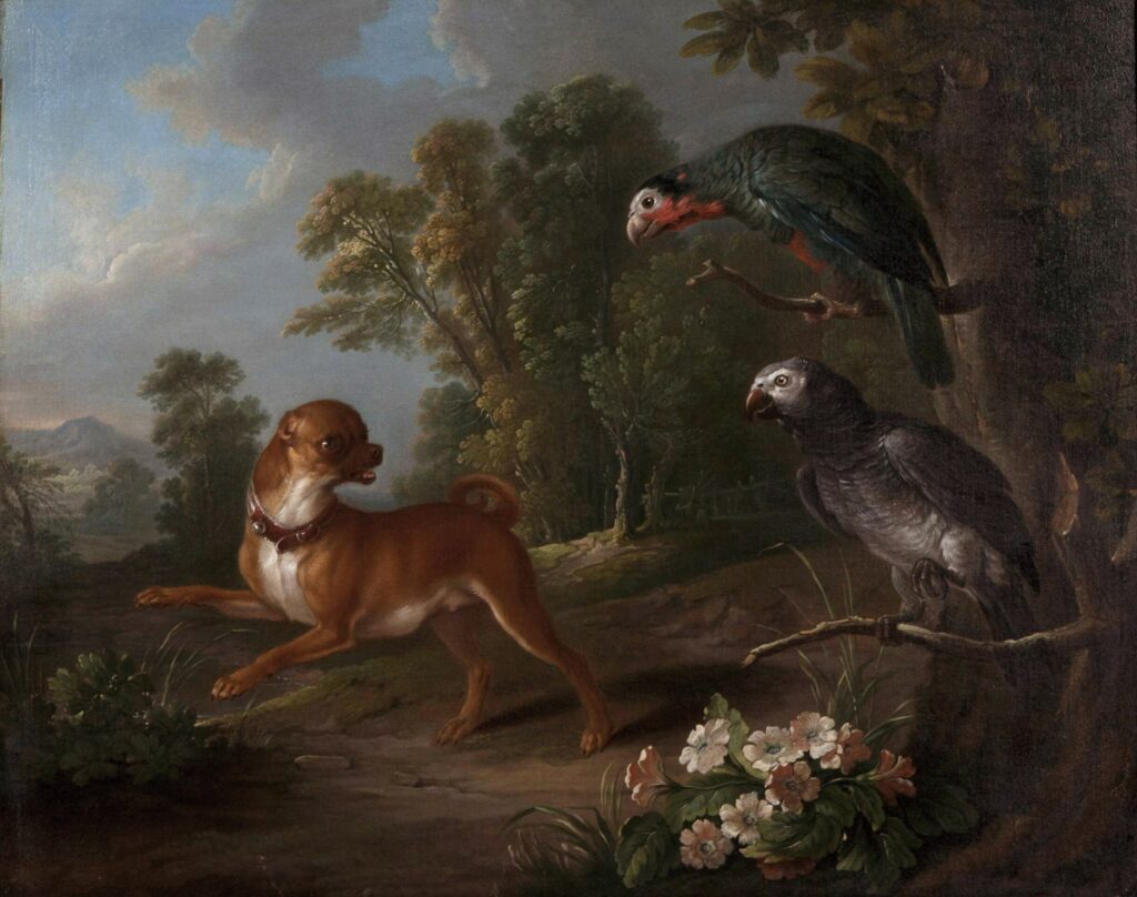 Expertise des œuvres de l'artiste et présentation de celui-ci, oeuvre "Un carlin et deux gris perroquets africains, dans un paysage” de l'artiste "Christophe Huet” (1700-1759”