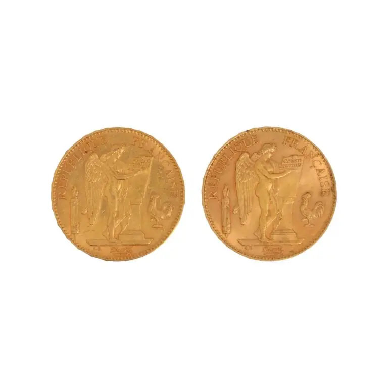 Expertise et estimation en numismatique, Deux pièces de 100 francs or Génie (1 x 1907 A ; 1 x 1901 A). Poids net: 64.5 gr, adjugé 5 530 €