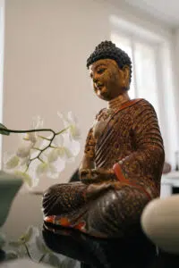 Fabien Robaldo en journée d'expertise gratuite