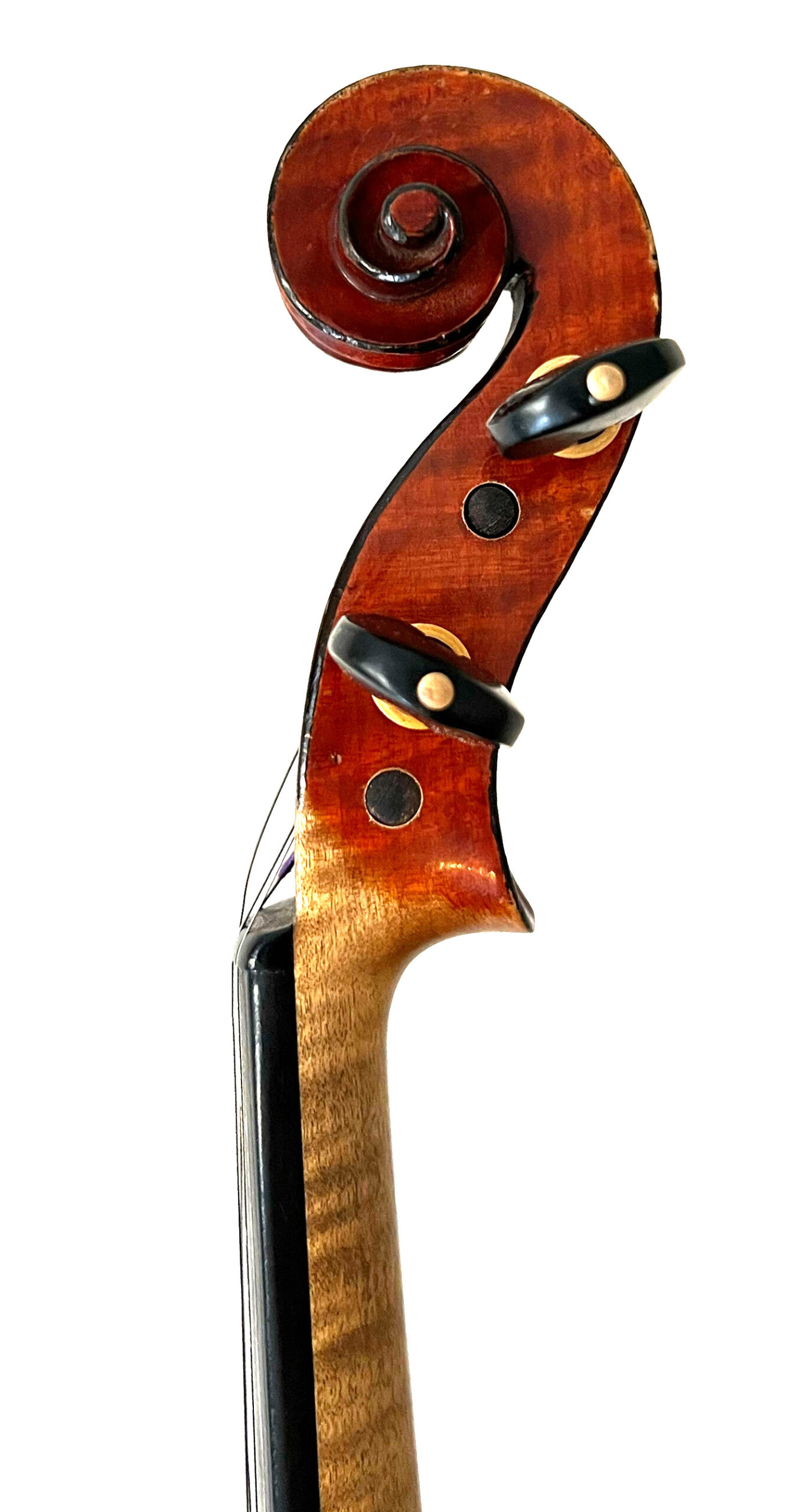 Q1331-0001 - Violon Français - fait par COLLIN MEZIN - Description : portant l'étiquette "Ch.J.B COLLIN MEZIN, Année 1928, Luthier, 24..." Numéro 995, et la signature manuscrite sur le fond, fond de deux pièces en érable, table en épicéa aux pores fins, s'élargissant sur les bords, vernis brun rouge sur fond doré. 358 mm. - Adjugé 2 000 €