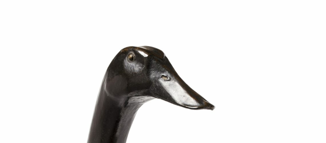 Canard Coureur Indien Charles Artus